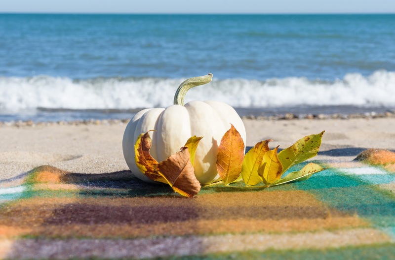 Enjoy Fall Activities and Things to Do in Volusia County