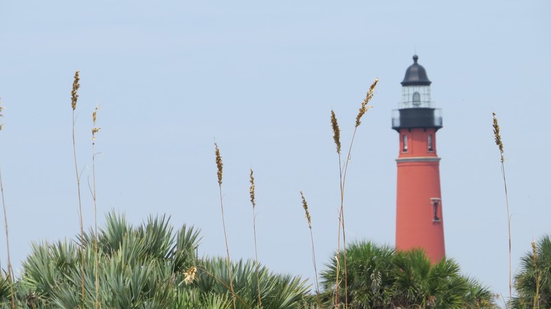 Celebrate Earth Day 2021 in Beautiful Ponce Inlet