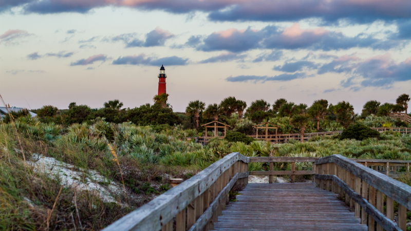Discovering Native Florida: Ponce Inlet Plant Guide