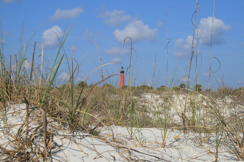 Discover Ponce Inlet's Wild Side
